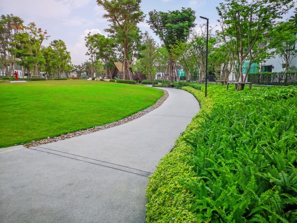 Cement Walkway Service in Santa Barbara