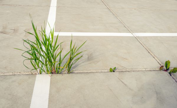 Concrete Parking Installation in Santa Barbara